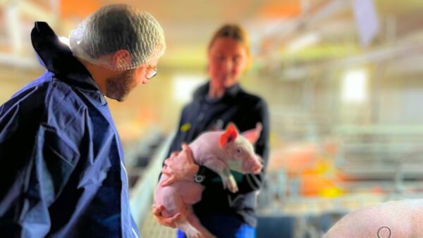 Avec Antoine Armand ministre de l&rsquo;économie, le lobby du porc gagne un soutien à Bercy