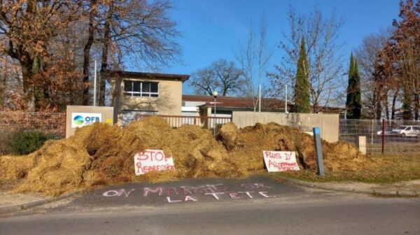 Attaques contre l&rsquo;Office français de la biodiversité : des agents secoués qui se sentent « lâchés »