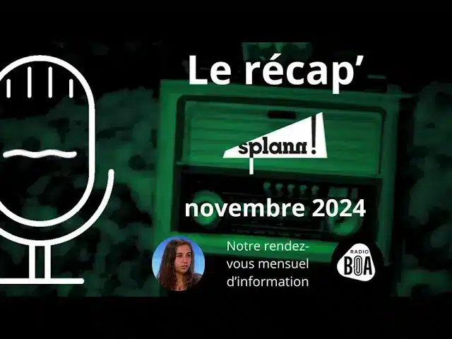Laitik, un lait breton pas si éthique ? | Le récap&rsquo; de novembre 2024